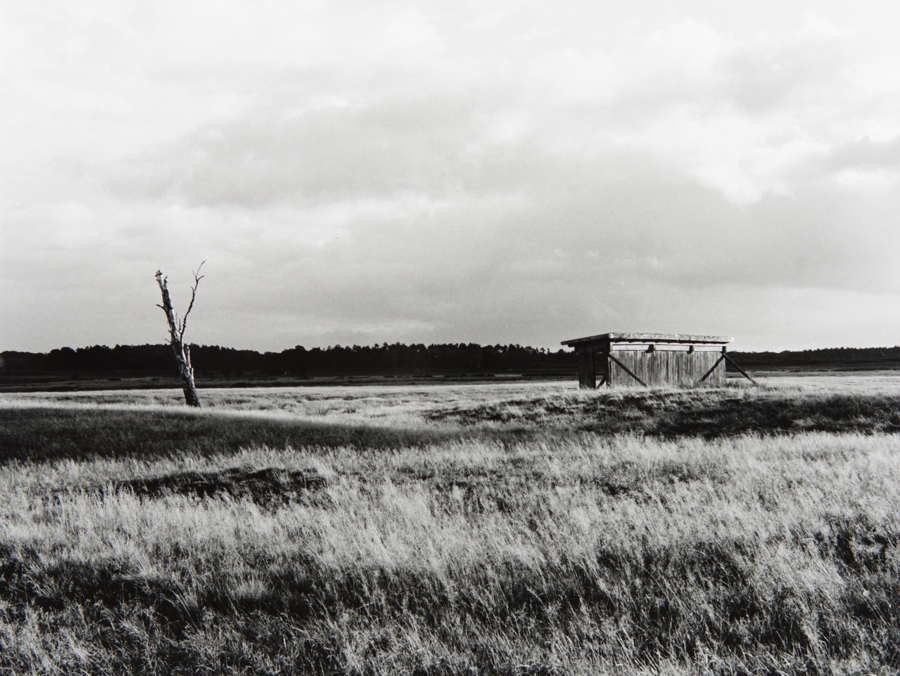 Lüneburger Heide